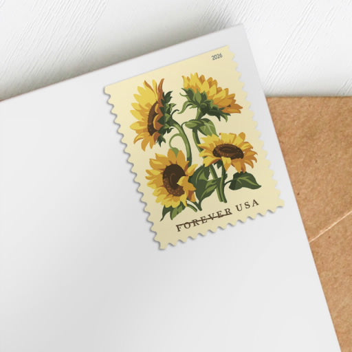 Floral Notecards - 4 Designs - Prints by Emily Marie