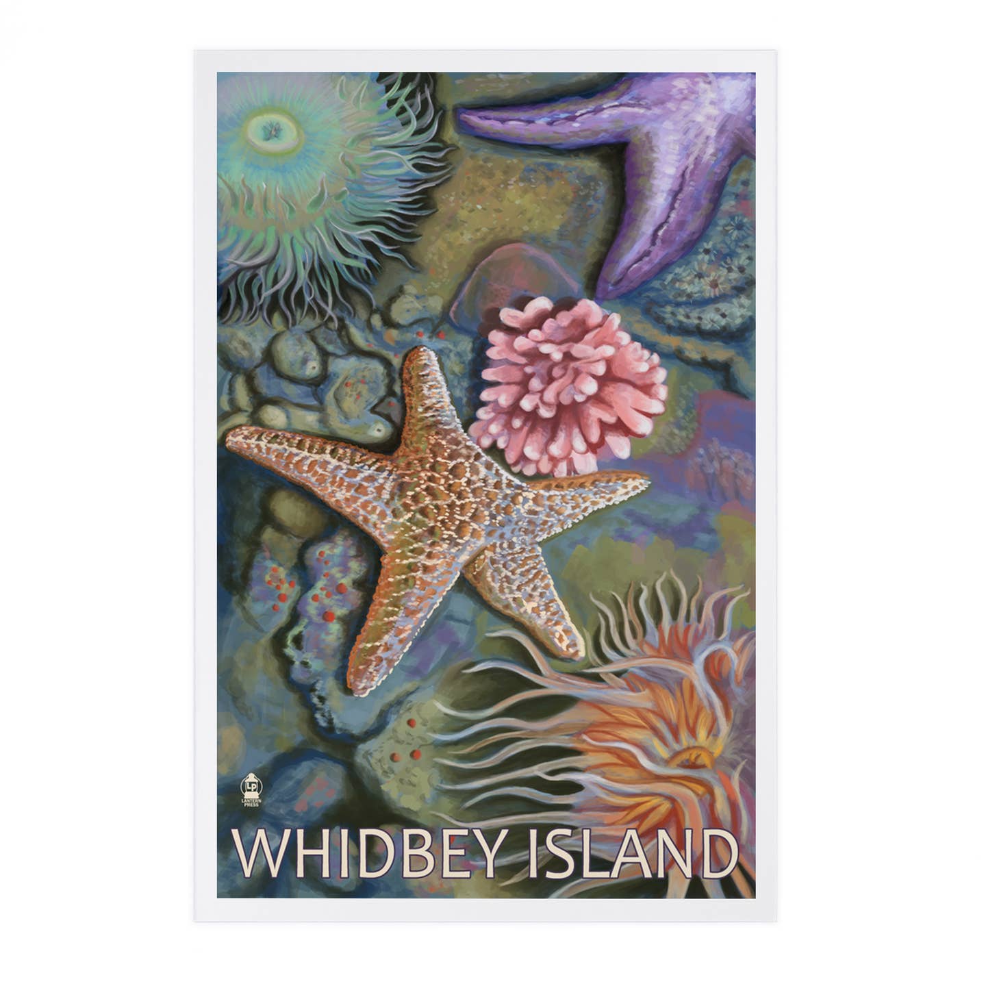 Whidbey Postcards - 7 Designs - Lantern Press
